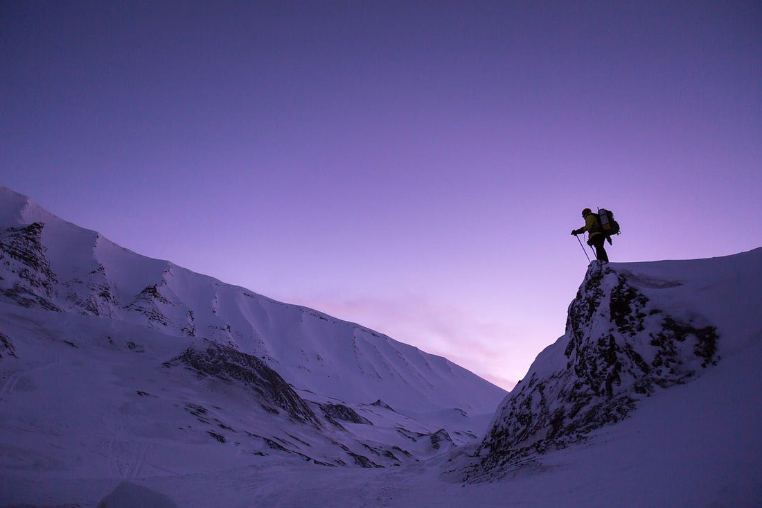 How to Absorb the Bible Like Pros: Life Impact